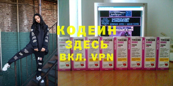 дурь Вяземский
