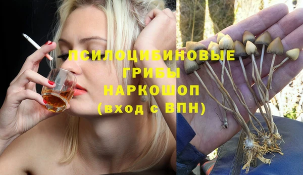 стаф Горняк