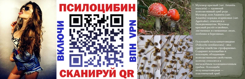 Псилоцибиновые грибы прущие грибы  Александровск 